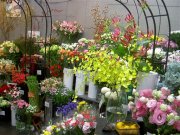 「フローラル花づくし」　（北海道札幌市西区）の花屋店舗写真1