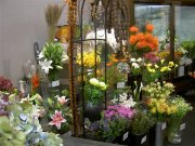 「フローラル花づくし」　（北海道札幌市西区）の花屋店舗写真2